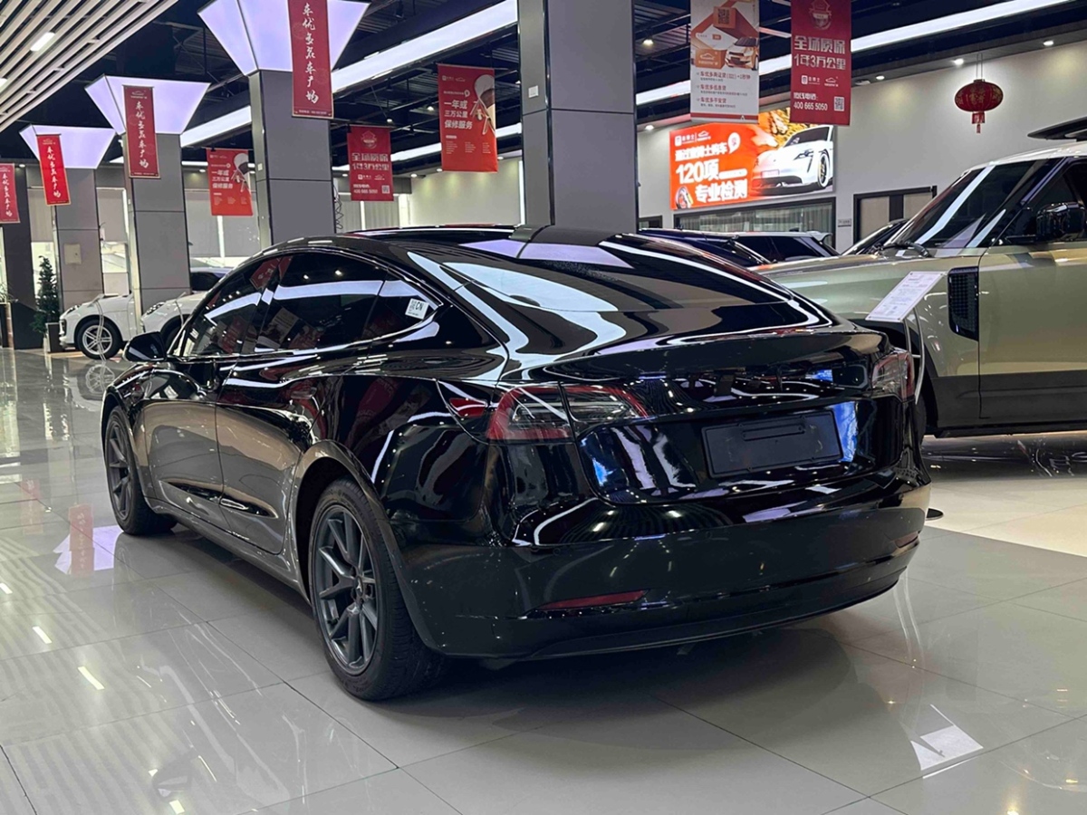 特斯拉 Model Y  2021款 標(biāo)準(zhǔn)續(xù)航后驅(qū)升級(jí)版 3D6圖片