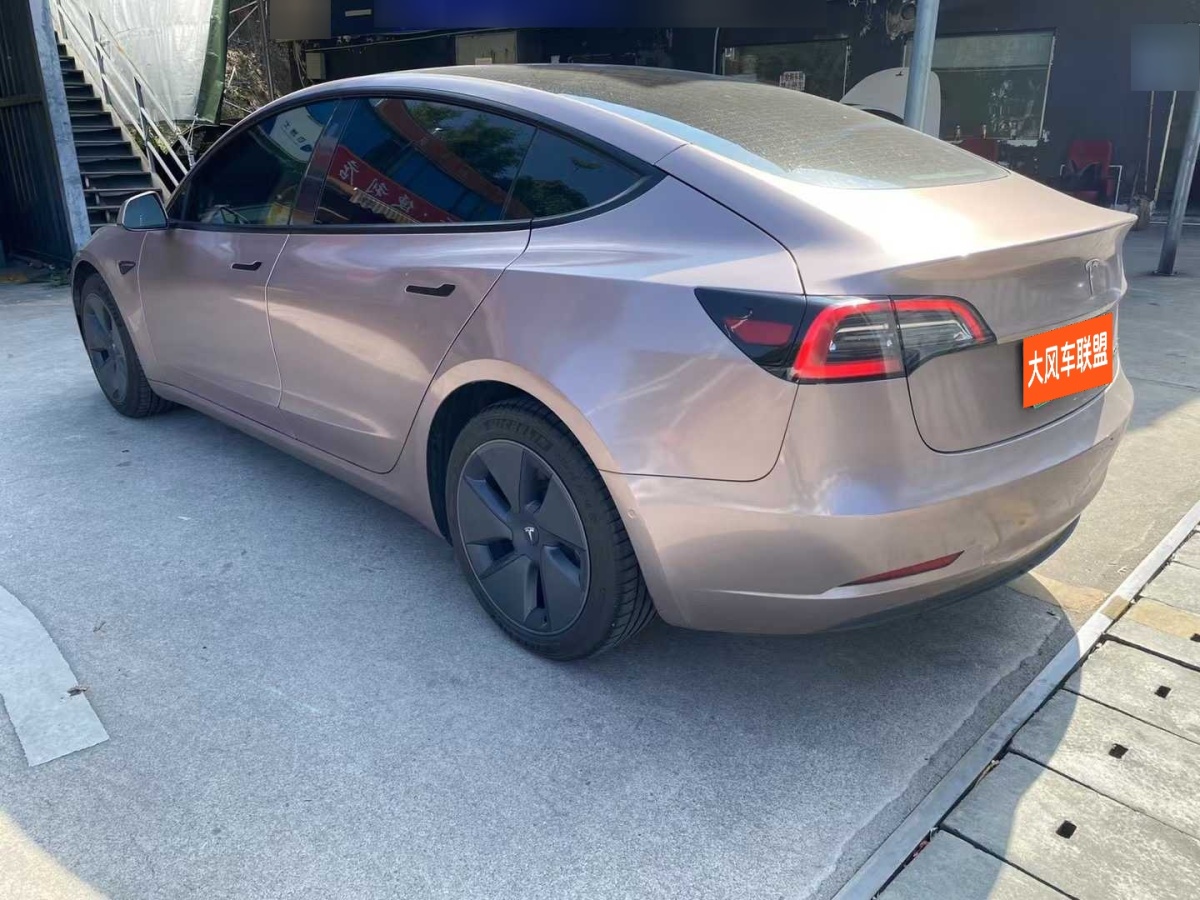 特斯拉 Model 3  2019款 標(biāo)準(zhǔn)續(xù)航后驅(qū)升級(jí)版圖片