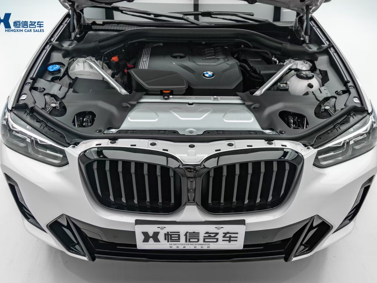 寶馬 寶馬X3  2022款 xDrive30i 領(lǐng)先型 M曜夜套裝圖片