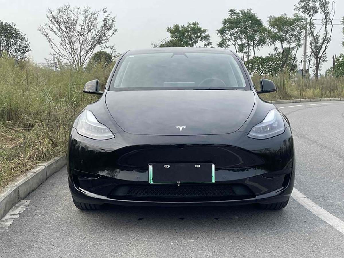 特斯拉 Model 3  2020款 改款 長續(xù)航后輪驅(qū)動版圖片