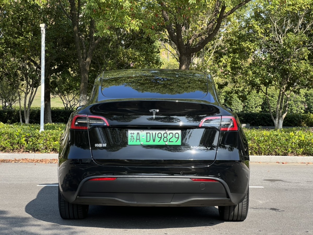 特斯拉 Model Y  2021款 改款 標準續(xù)航后驅(qū)升級版圖片