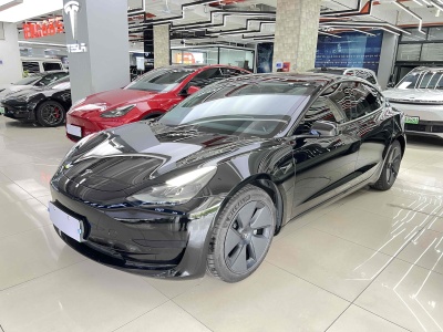 2021年2月 特斯拉 Model 3 标准续航后驱升级版图片