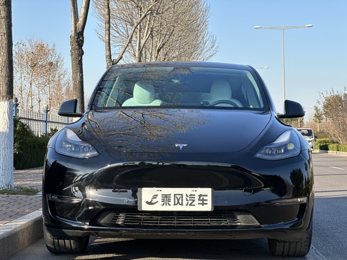 特斯拉 Model Y  2021款 標(biāo)準(zhǔn)續(xù)航后驅(qū)版圖片