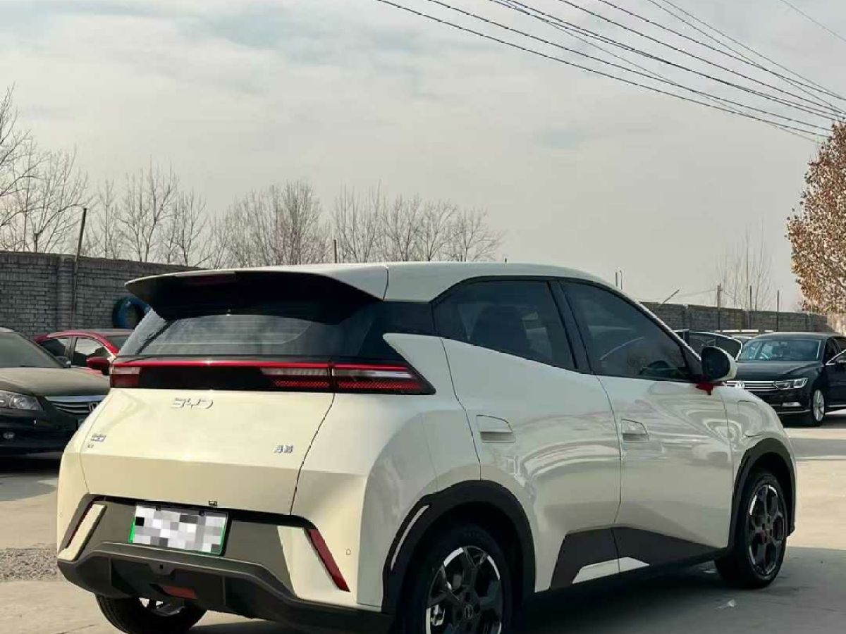 比亞迪 宋L DM-i  2024款 112km 超越型圖片