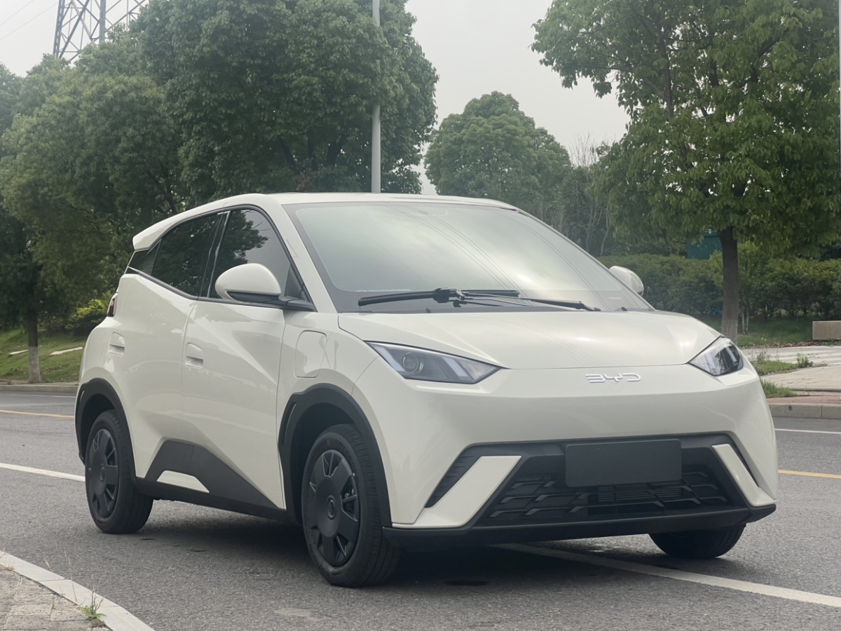 比亞迪 海鷗  2025款 305km 活力版圖片