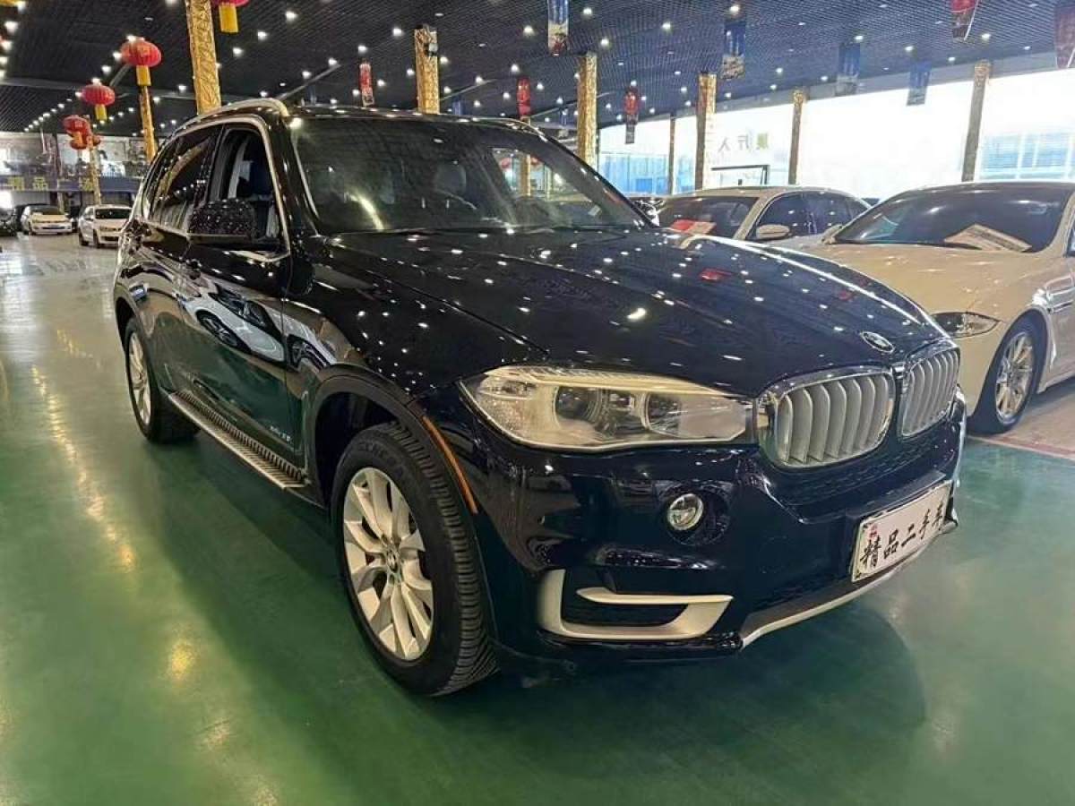 寶馬 寶馬X5  2014款 xDrive35i 領(lǐng)先型圖片