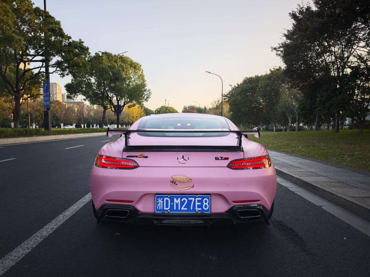 奔馳 奔馳AMG GT  2019款 AMG GT圖片