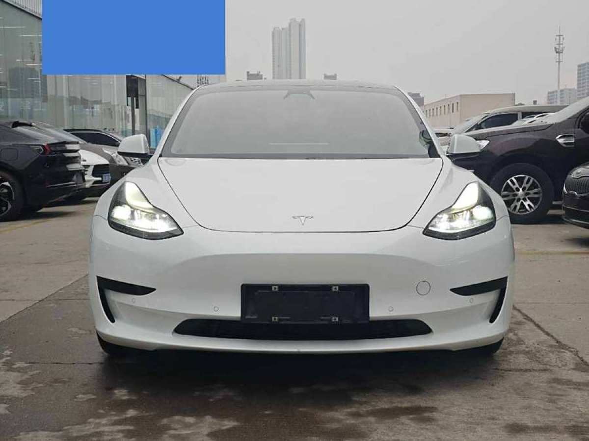 特斯拉 Model 3  2021款 改款 標準續(xù)航后驅升級版圖片