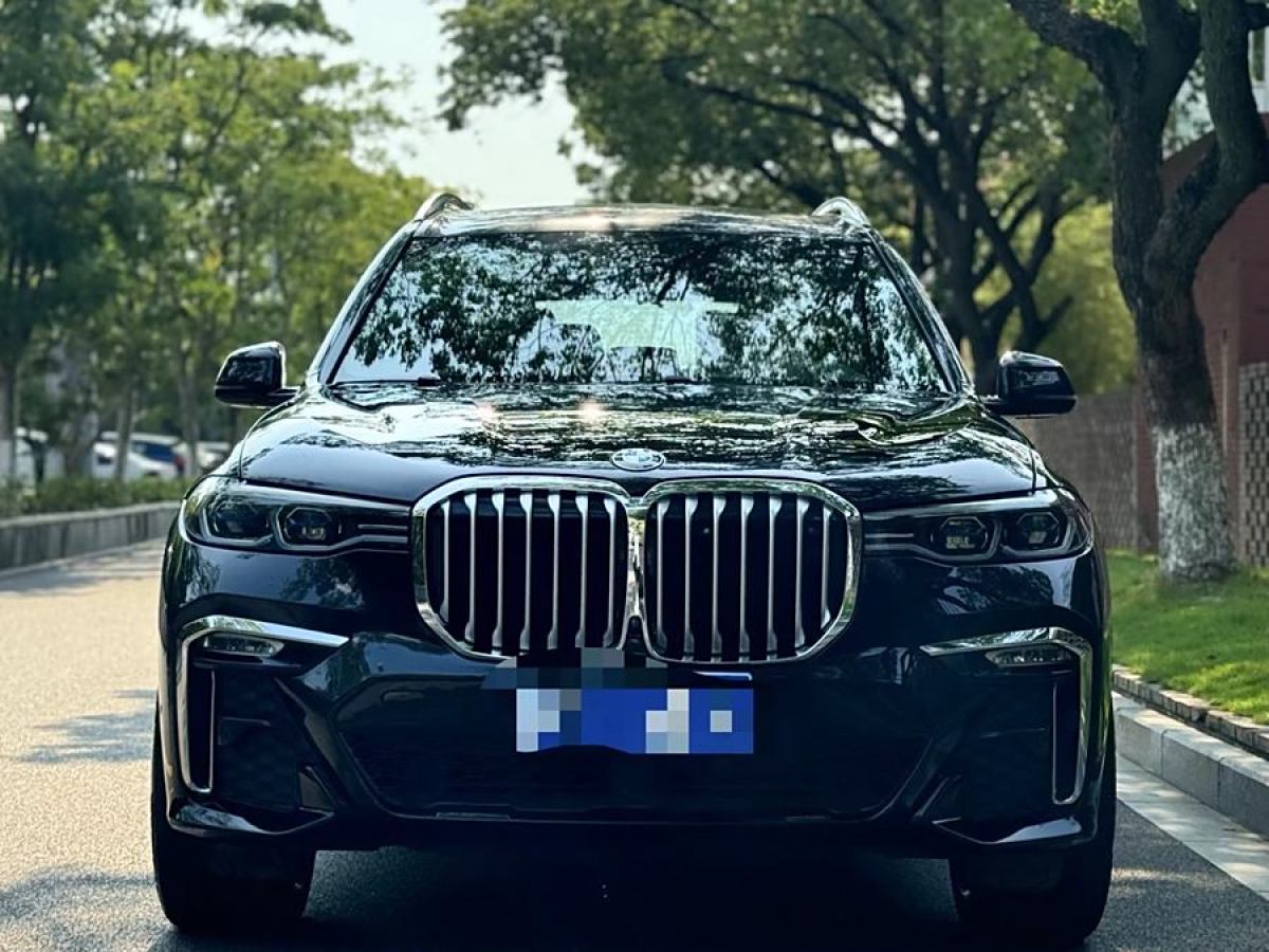 寶馬 寶馬X7  2019款  xDrive40i 領(lǐng)先型豪華套裝圖片