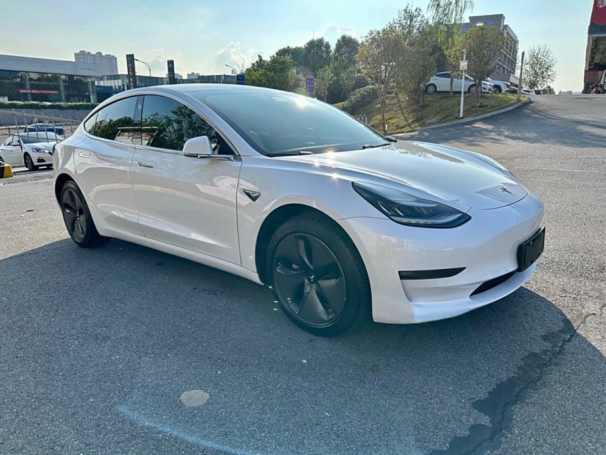 特斯拉 Model 3  2019款 長續(xù)航后驅版圖片