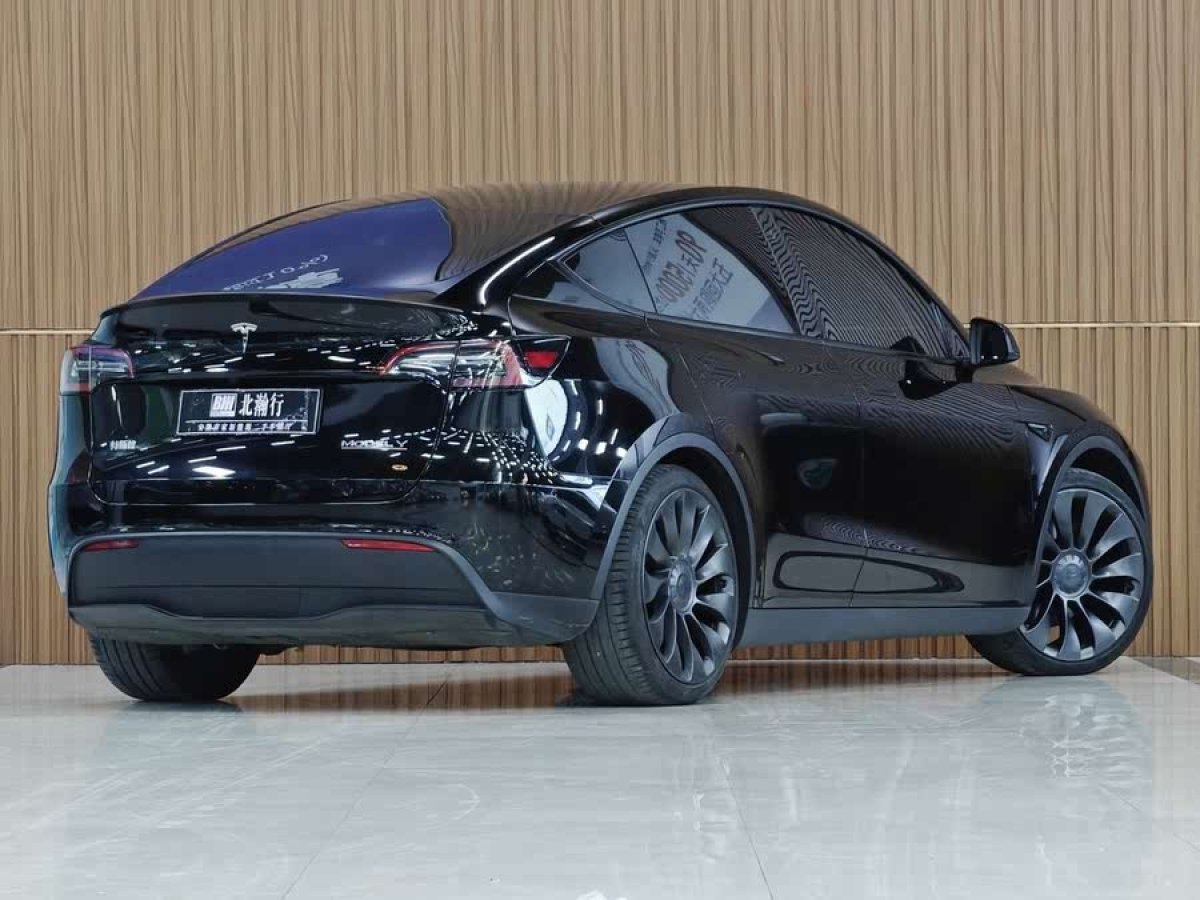 特斯拉 Model Y  2021款 Performance高性能全輪驅動版圖片
