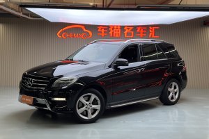 奔驰M级 奔驰 ML 350 动感型