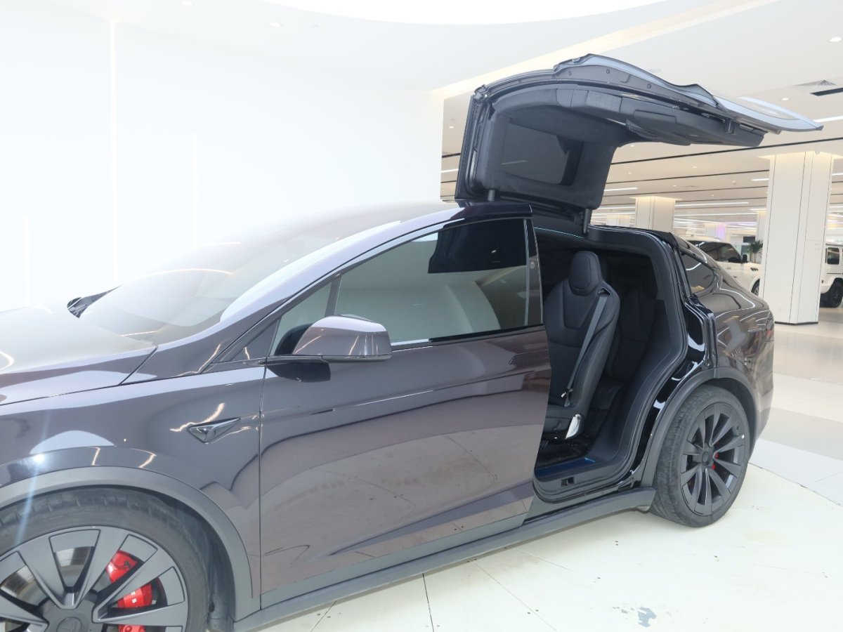 特斯拉 Model X  2023款 雙電機(jī)全輪驅(qū)動版圖片