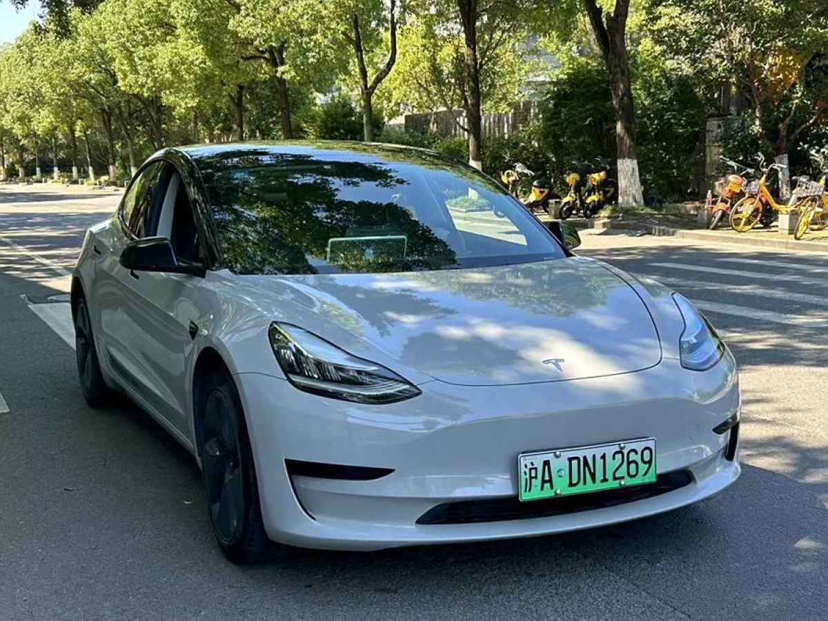 2020年7月特斯拉 Model 3  2020款 改款 標準續(xù)航后驅(qū)升級版