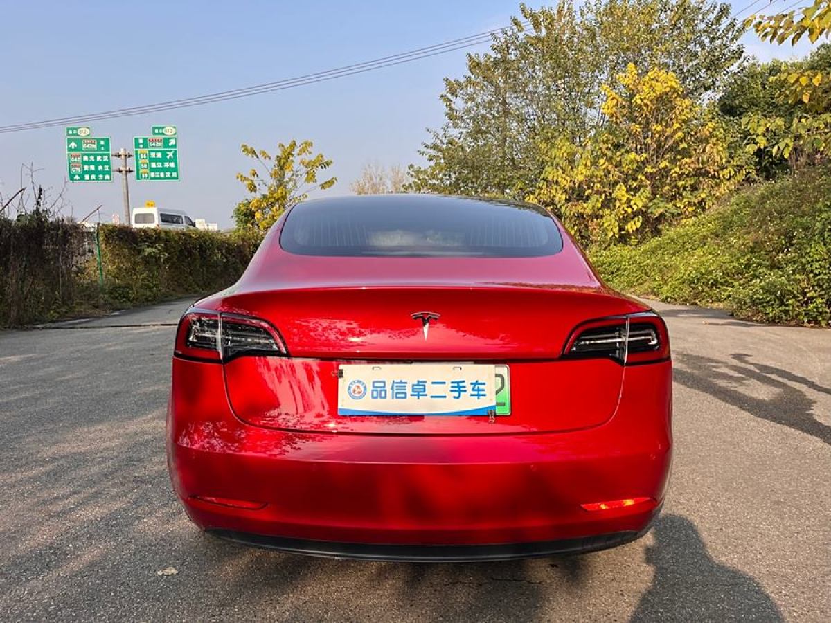 特斯拉 Model 3  2019款 長續(xù)航后驅(qū)版圖片