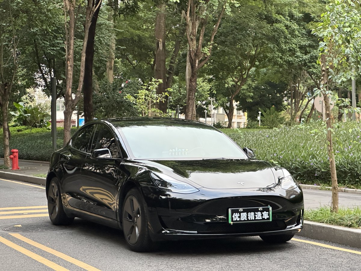 特斯拉 Model 3  2022款 改款 后輪驅(qū)動(dòng)版圖片