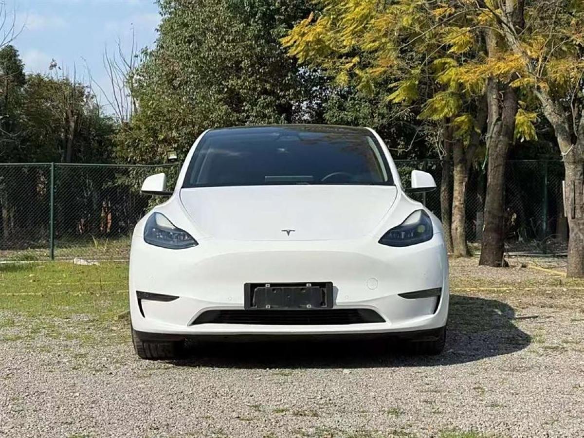 特斯拉 Model Y  2021款 改款 長(zhǎng)續(xù)航全輪驅(qū)動(dòng)版圖片