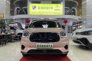 零跑C01 零跑 四驅(qū)雙電機(jī)性能版