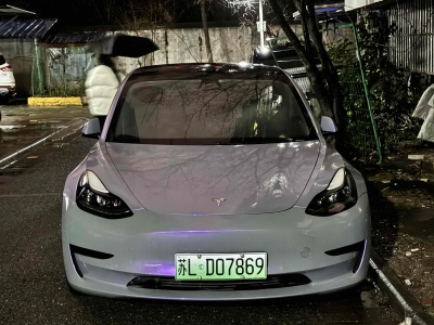 特斯拉 Model 3 標(biāo)準續(xù)航后驅(qū)升級版圖片