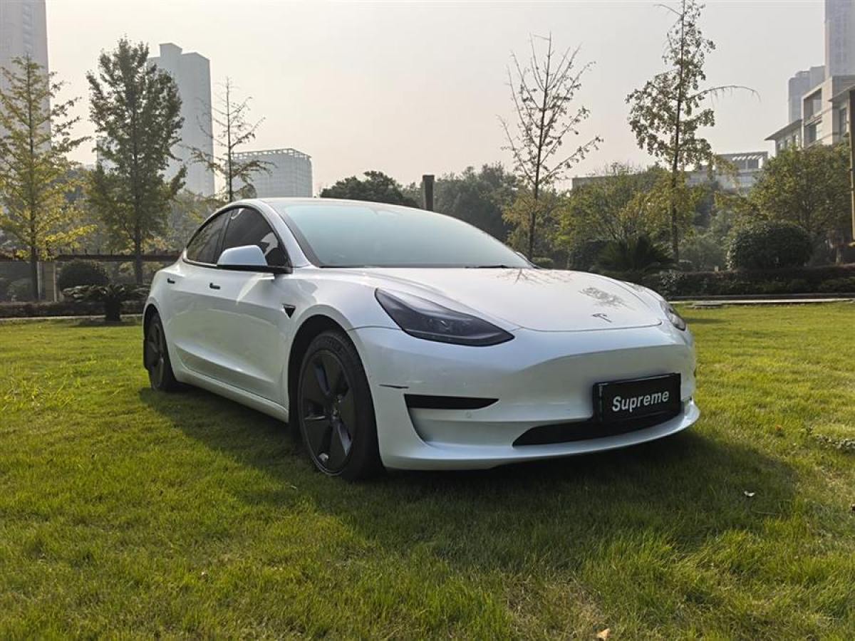 特斯拉 Model 3  2022款 改款 后輪驅(qū)動版圖片