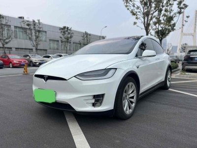 2018年9月 特斯拉 Model X Model X 100D 長續(xù)航版圖片