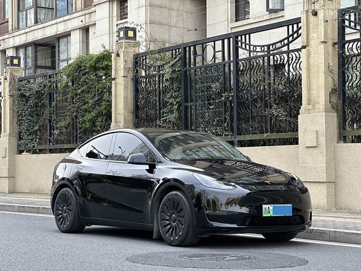 特斯拉 Model Y  2021款 改款 長(zhǎng)續(xù)航全輪驅(qū)動(dòng)版圖片