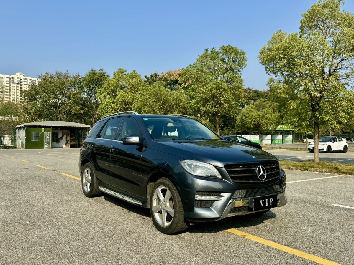 奔馳 奔馳M級  2012款 ML 350 動感型圖片