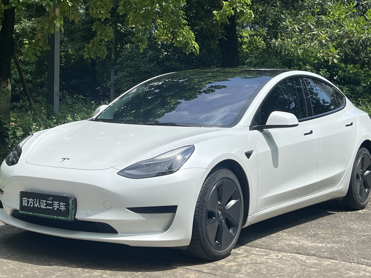 特斯拉 Model 3  2019款 標(biāo)準(zhǔn)續(xù)航后驅(qū)升級(jí)版圖片