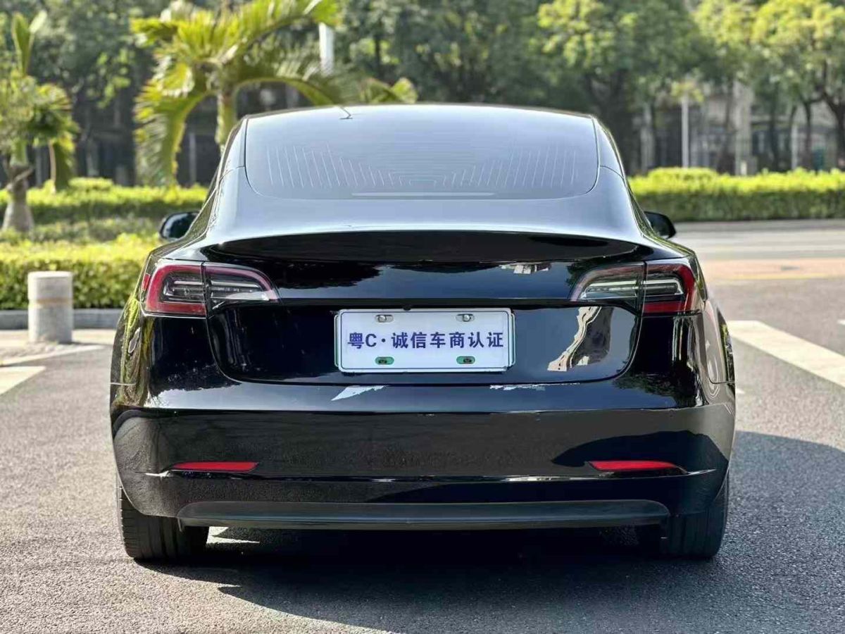 特斯拉 Model 3  2020款 標準續(xù)航后驅(qū)升級版圖片