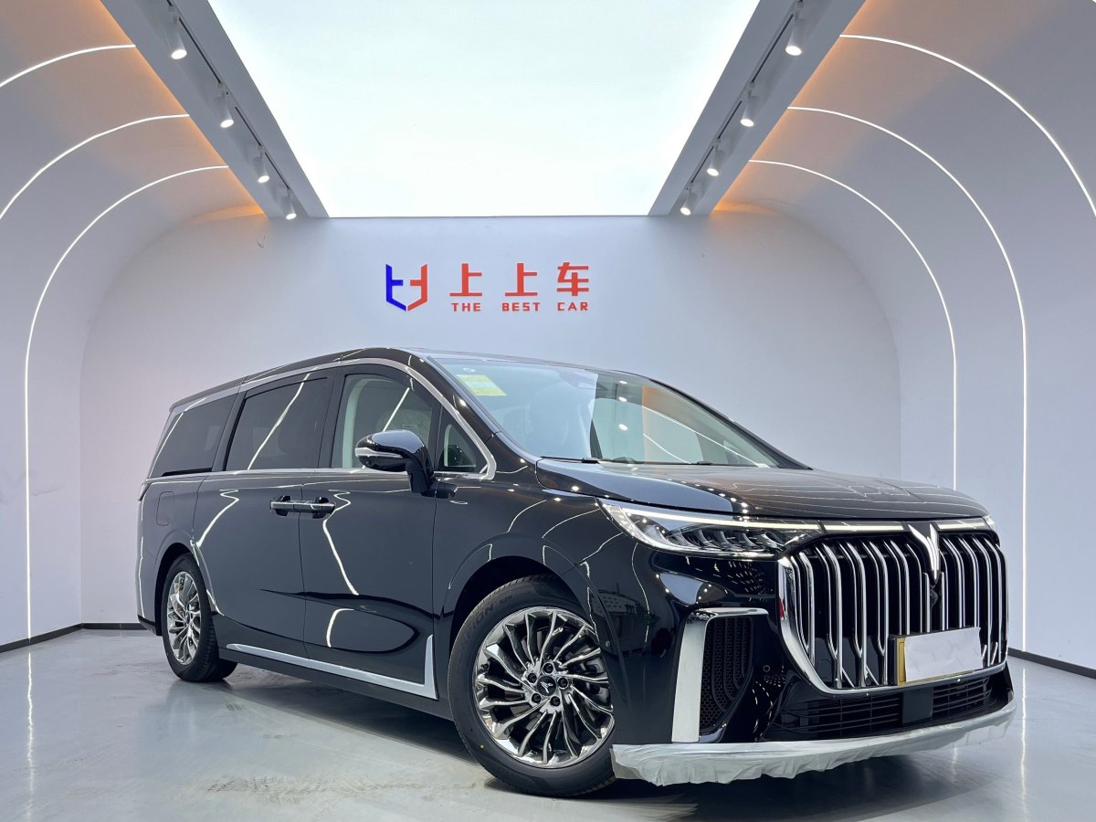 嵐圖 夢想家  2024款 PHEV 超長續(xù)航卓越版圖片