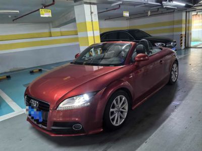 2013年1月 奥迪 奥迪TT(进口) TT Roadster 45 TFSI图片