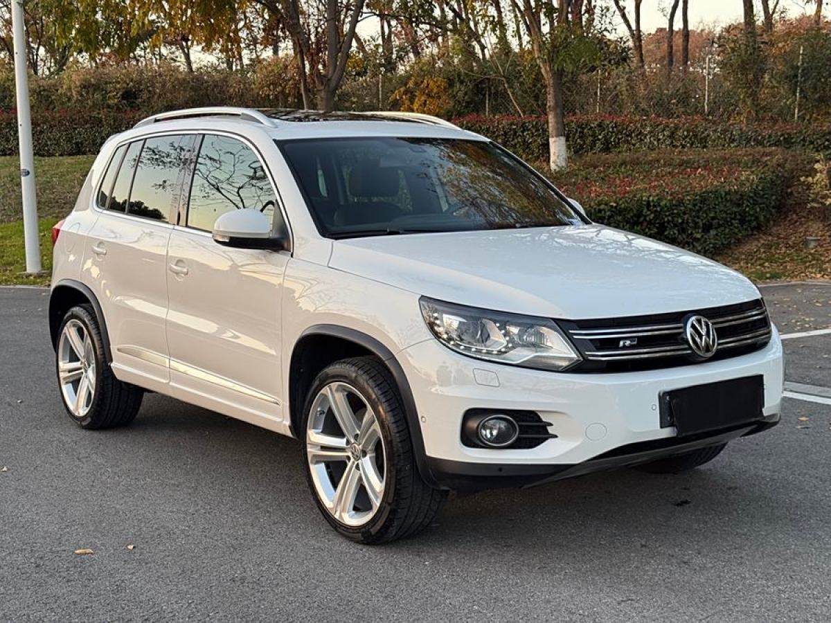 大眾 Tiguan  2014款 2.0TSI 專享版圖片