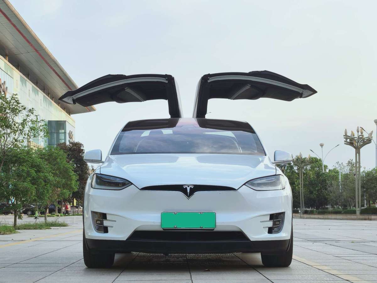 2017年06月特斯拉 Model X  2016款 Model X 90D