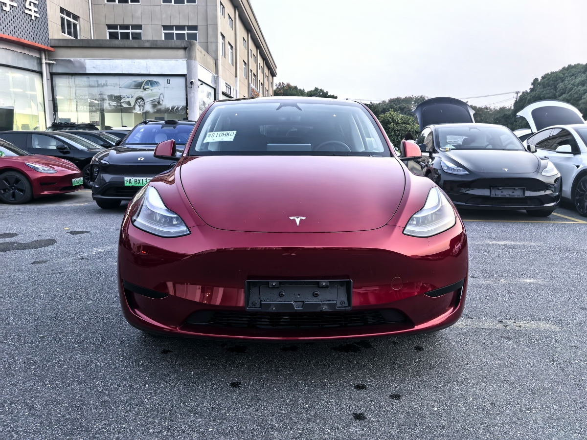 特斯拉 Model Y  2020款 改款 長(zhǎng)續(xù)航后輪驅(qū)動(dòng)版圖片