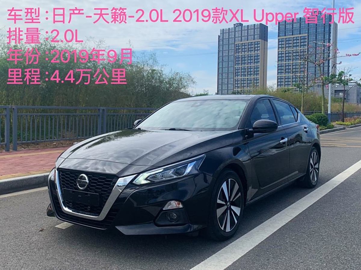 2019年9月日產(chǎn) 天籟  2019款 2.0L XL Upper 智行版