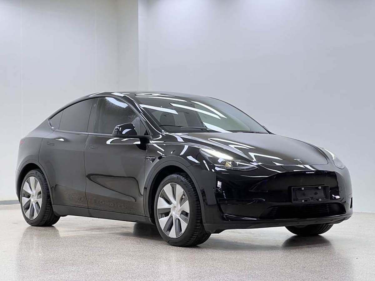 特斯拉 Model 3  2022款 后輪驅(qū)動版圖片