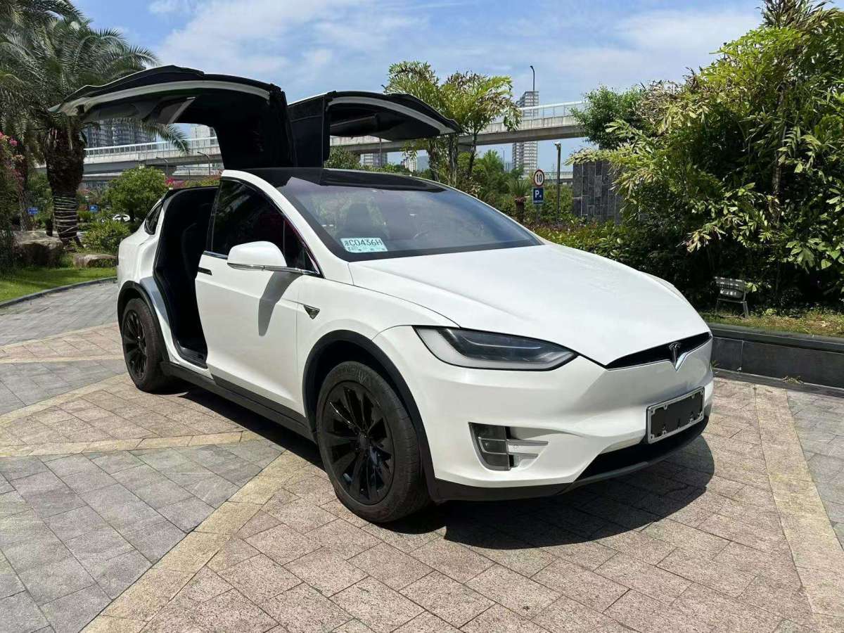 特斯拉 Model X  2017款 Model X 100D 長(zhǎng)續(xù)航版圖片