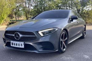 奔馳CLS級 奔馳 CLS 300 動感型