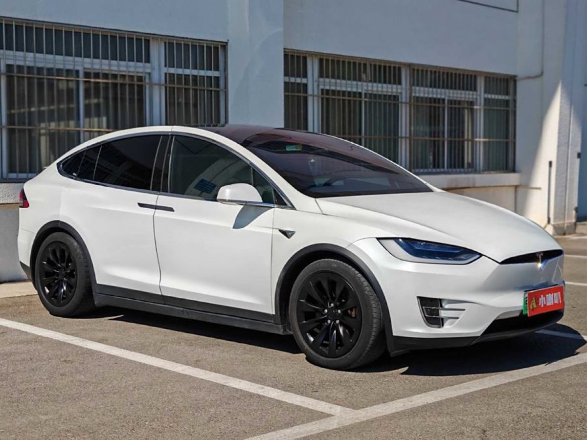 特斯拉 Model X  2016款 Model X 75D圖片