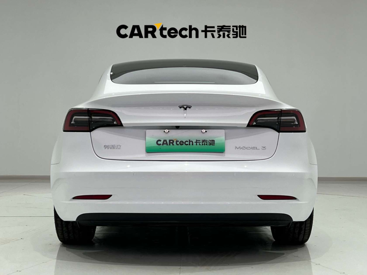 特斯拉 Model 3  2022款 后輪驅(qū)動(dòng)版圖片