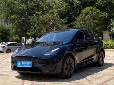 2023年03月 特斯拉 Model Y 改款 后輪驅(qū)動(dòng)版圖片