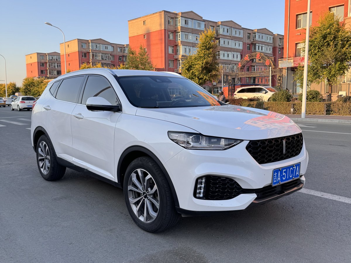 WEY VV6  2018款 2.0T 兩驅(qū)超豪型圖片