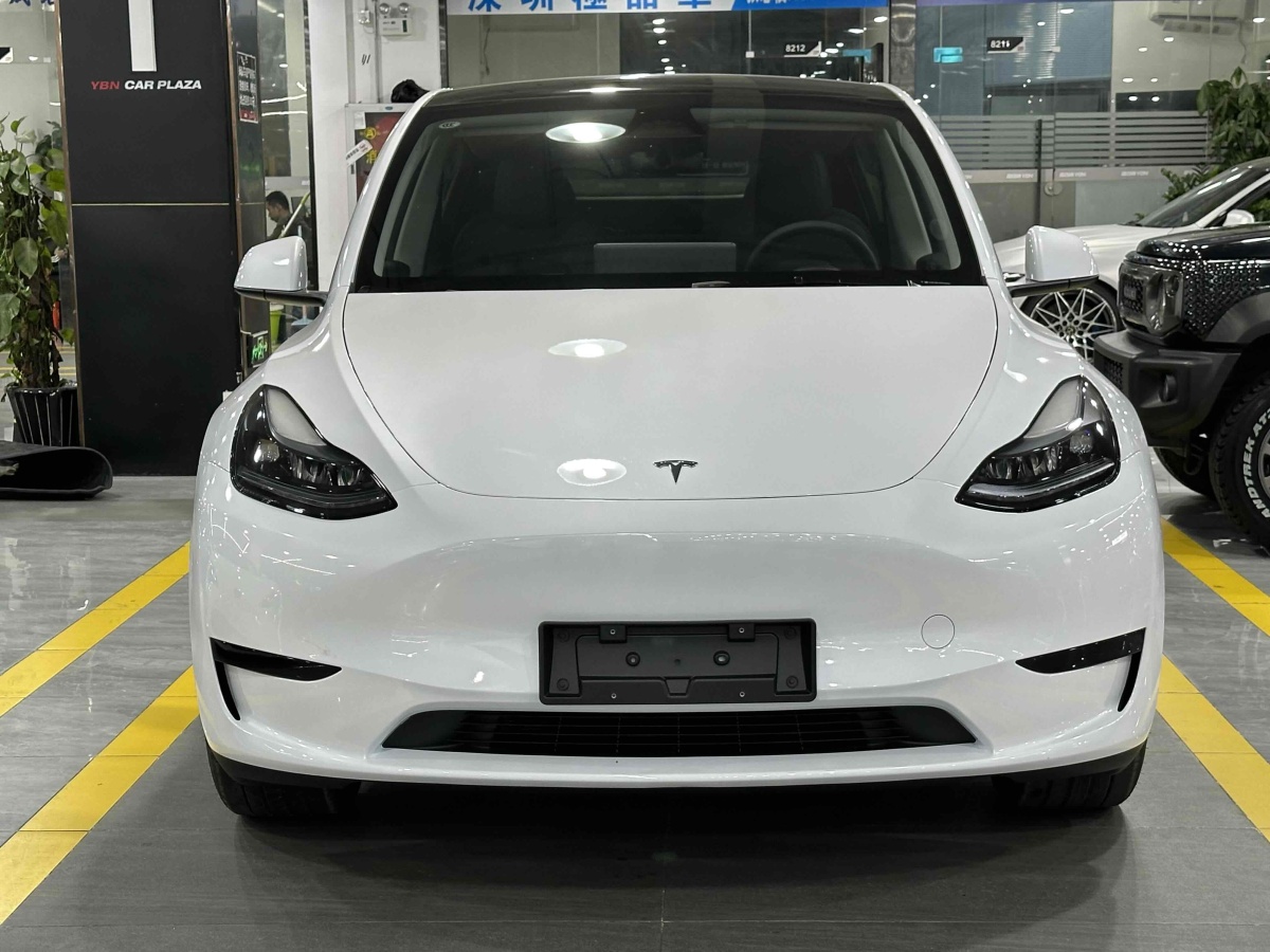 特斯拉 Model 3  2020款 改款 長續(xù)航后輪驅動版圖片