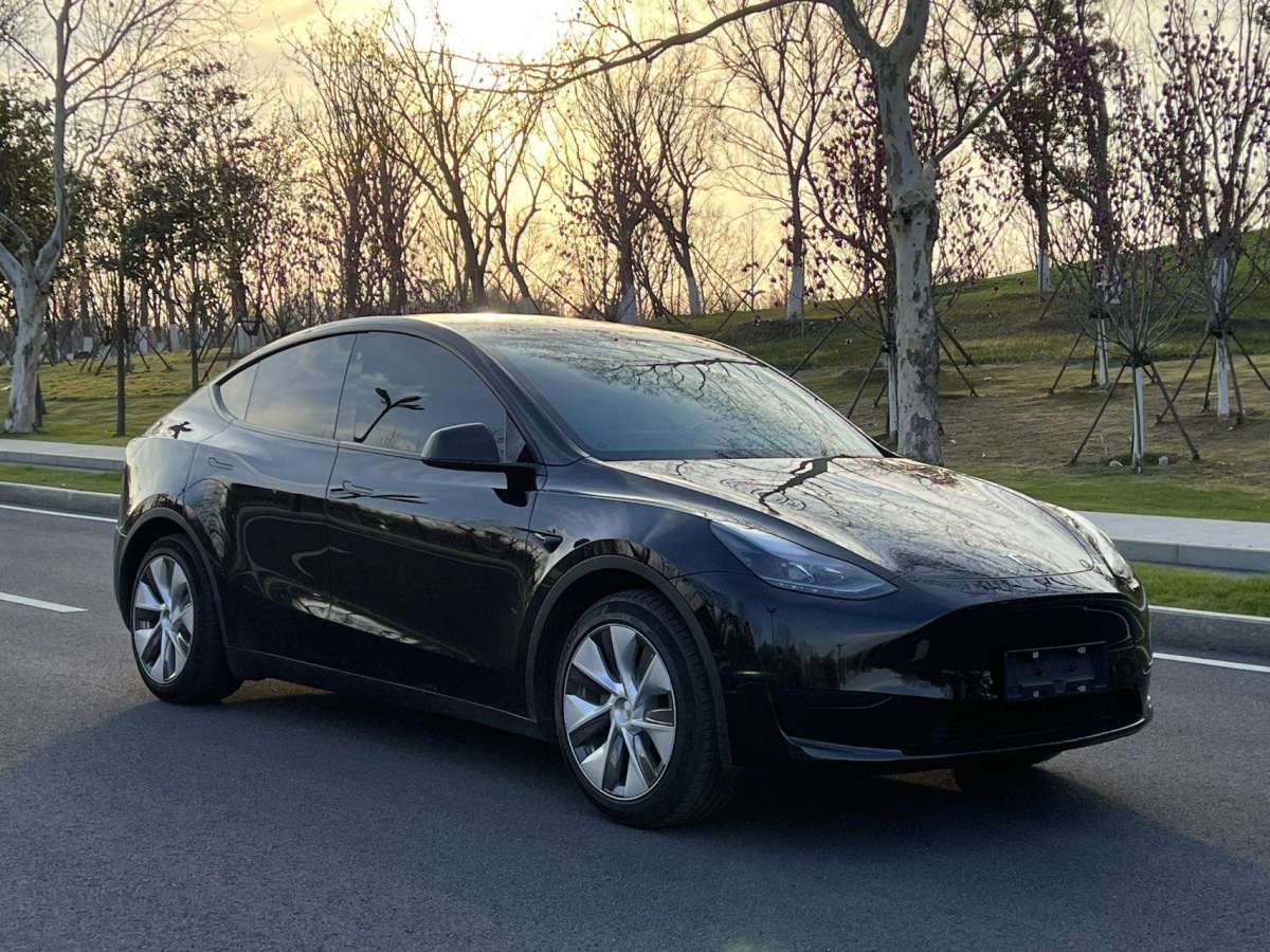 特斯拉 Model 3  2021款 改款 標準續(xù)航后驅(qū)升級版圖片