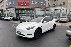 Model Y 特斯拉 长续航全轮驱动版 3D7