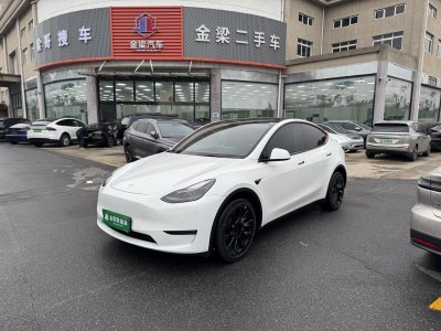 2021年7月 特斯拉 Model Y 長續(xù)航全輪驅(qū)動(dòng)版 3D7圖片