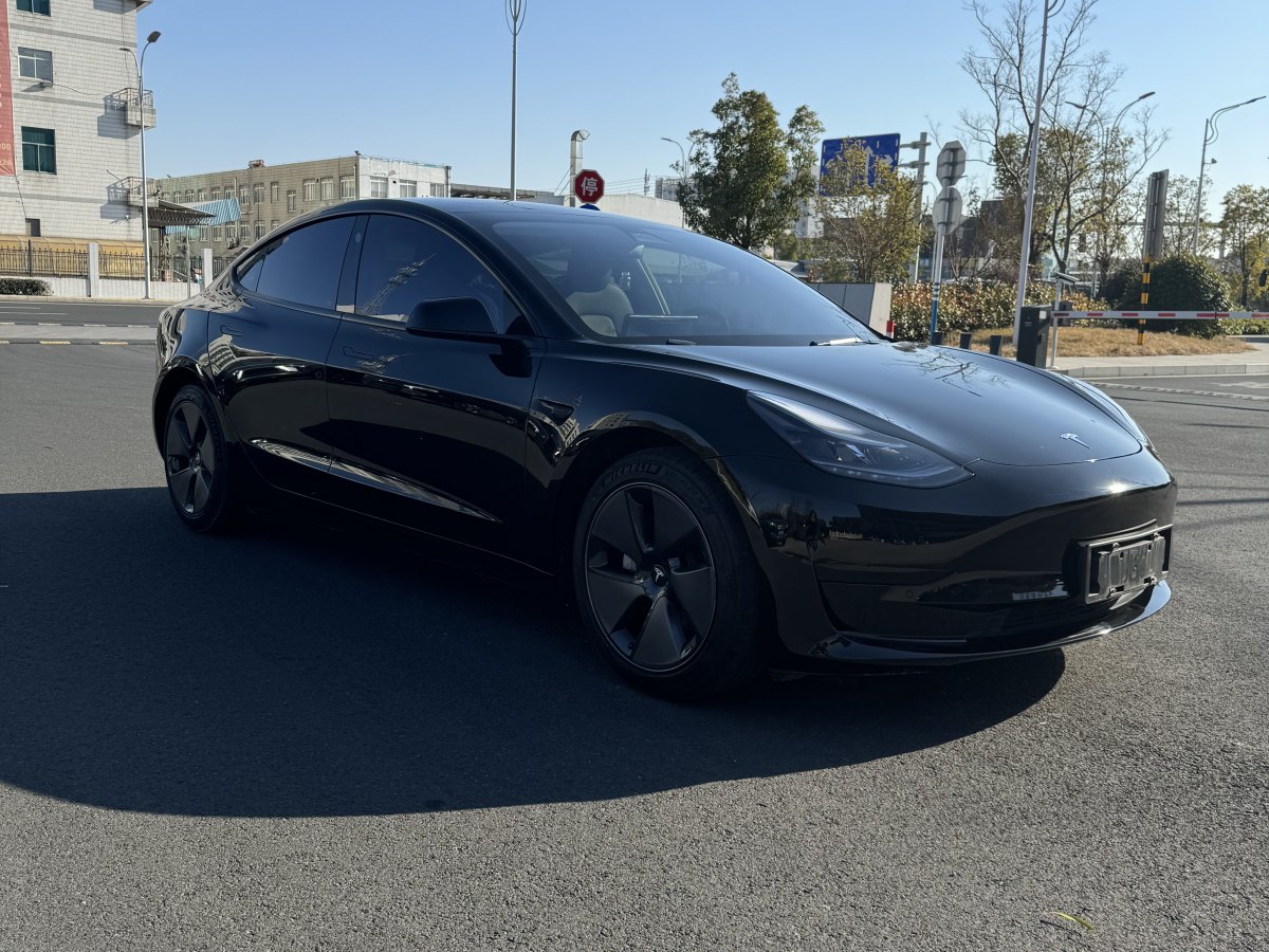 特斯拉 Model 3  2021款 標準續(xù)航后驅(qū)升級版 3D6圖片