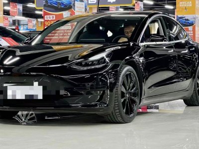 2020年12月 特斯拉 Model 3 標(biāo)準(zhǔn)續(xù)航后驅(qū)升級(jí)版圖片