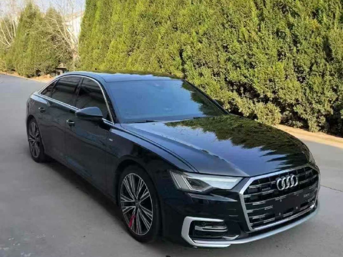 奧迪 奧迪A6  2020款 Allroad 探索家 55 TFSI 尊享越野型圖片