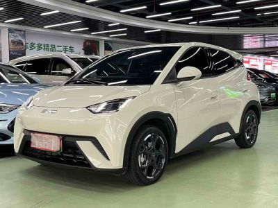 2024年8月 比亞迪 宋L 550km 卓越型圖片